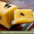 Unilever, Tulipan y como negar la comunicación en las redes sociales Luego del post sobre Tulipán de Gaby Castellanos, lo hemos comentado con David Soler quien hizo una magnífica continuación desde el foco en el negocio real: Tulipan como marca...