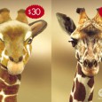 Jirafas en la publicidad Comunicación animal Lo que hay, hubo y habrá en publicidad mas allá de planning y creatividad, son muchos animales y muchos bebés. Y algunos animales bebés. Feliz...