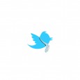 Twitter para la empresa y el profesional Puro contenido de Twitter, a ritmo de síntesis, prácticas y usos efectivos orientados al branding corporativo
