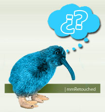 Kiwi Twitter