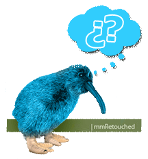Kiwi twitter