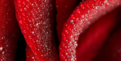 De Sant Jordi, aniversarios y métricas