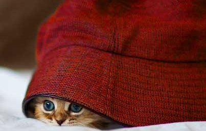 Mi Protocolo de Crisis: Porque explicar lo que podemos ocultar